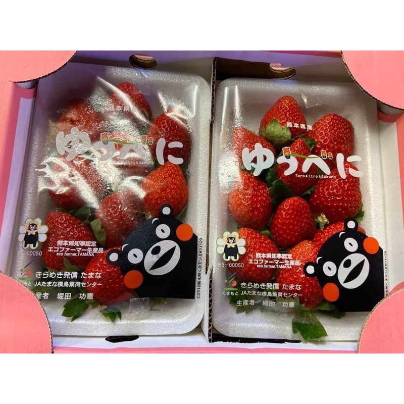 日本熊本/福岡/佐賀草莓(每盒16-24顆/共約600g±10%)，共五盒