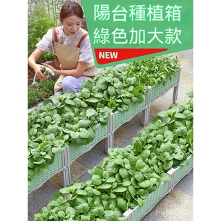 免運開發票 種菜專用箱 陽臺種菜種植箱種菜盆 花箱 樓頂蔬菜種菜箱 長方形花盆大