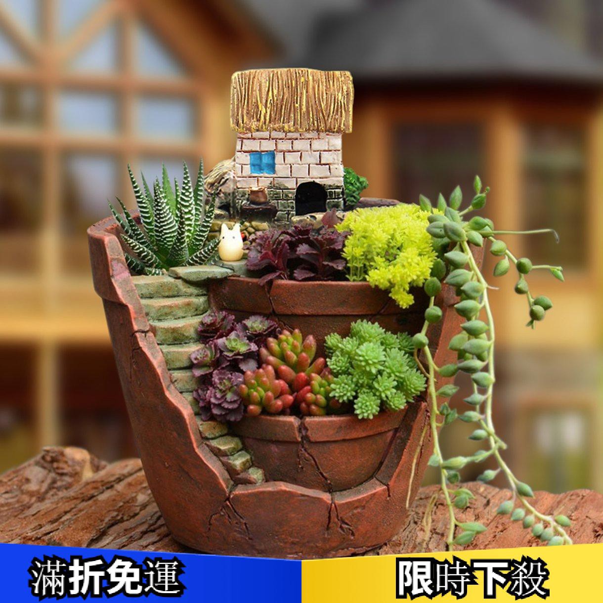 創意植物花盆天空之城多肉植物花盆花籃花盆 Twenty Mille 蝦皮購物