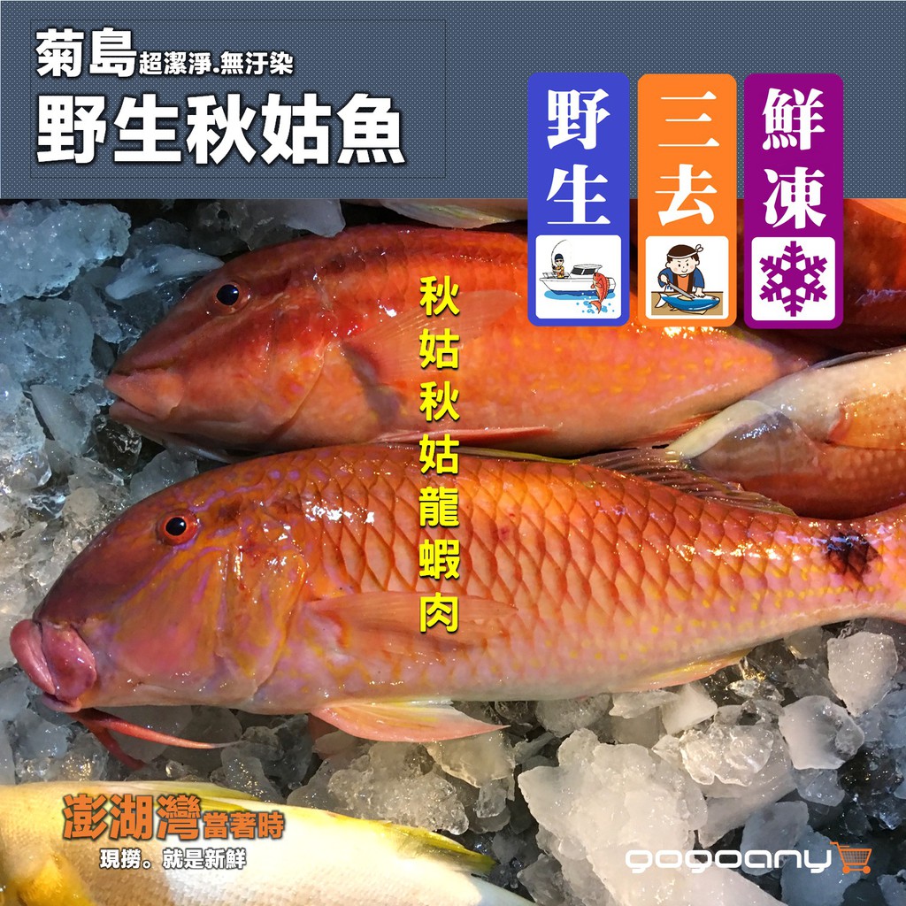 禾契鮮食 澎湖頂級野生秋姑 三去 真空 直送 紅帶海鯡鯉 紅槽魚 秋姑 鬚哥 蝦皮購物