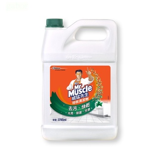 威猛先生 地板清潔劑加侖桶-森林芬多精3785ml 超商取貨上限兩瓶