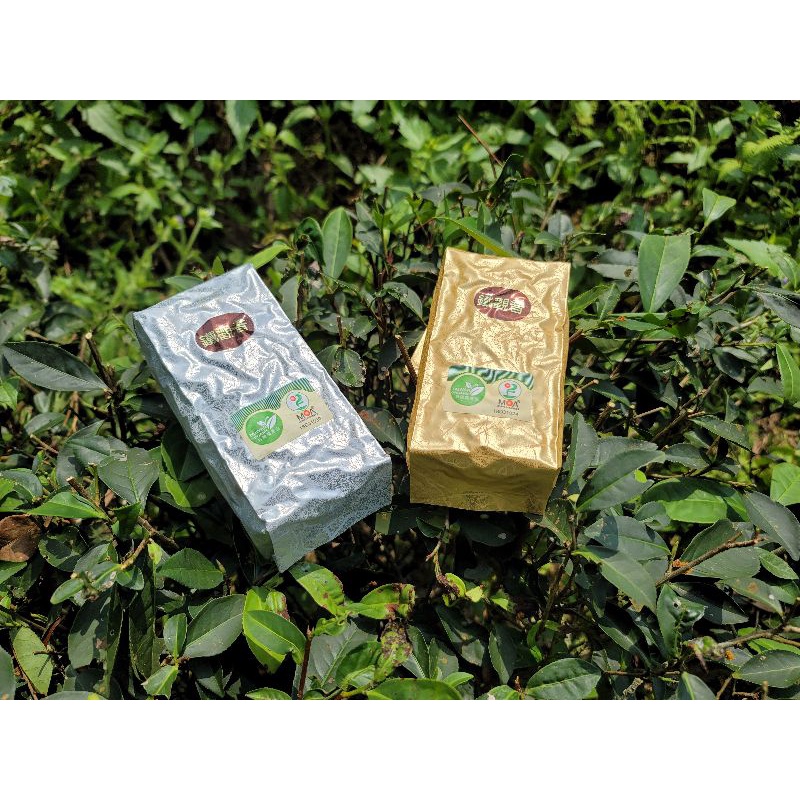 (有機茶) 木柵 正欉鐵觀音