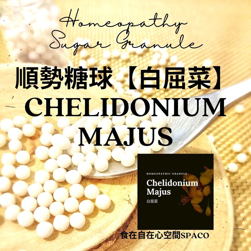 順勢糖球【白屈菜●Chelidonium Majus】➖慢性疲勞➕讓人生變彩色#夜貓子Homeopathy