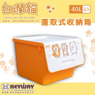 dayneeds白爛貓直取式大口收納箱40L【二入組】收納箱/整理箱/衣物收納箱/置物箱/整理箱/直取式/掀蓋/收納箱