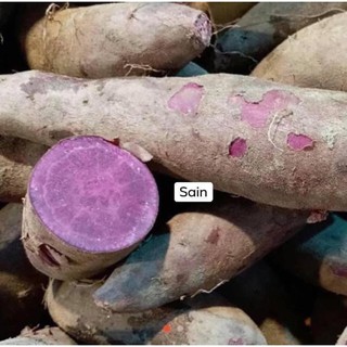 紫芋地瓜3斤120限時特價