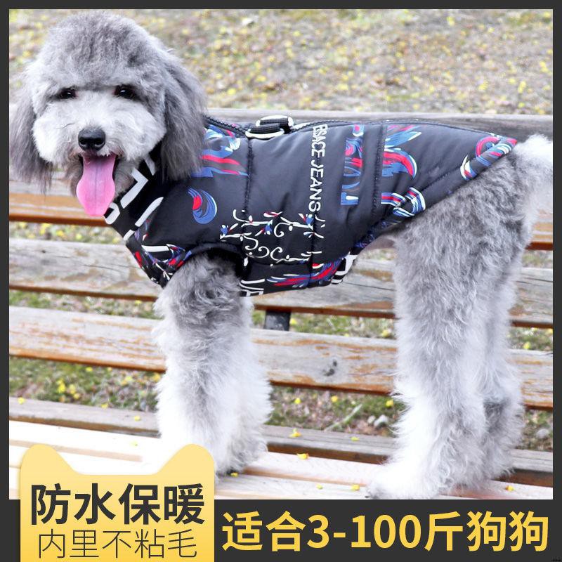 施設オゾンテンション防寒犬 Fhrsadvice Com