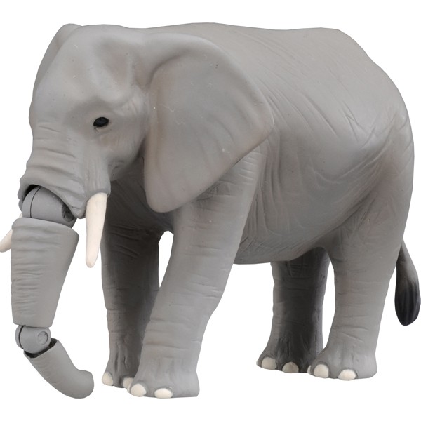 TOMY  多美動物園 ANIA 探索動物系列  AS-02 大象  動物模型  AN48792