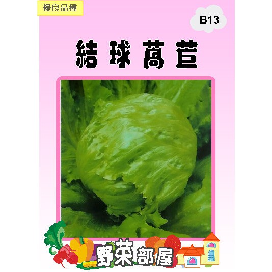 【萌田種子~蔬菜種子】B13 日本夏冠結球萵苣種子0.75公克 , 美生菜 , 每包16元~
