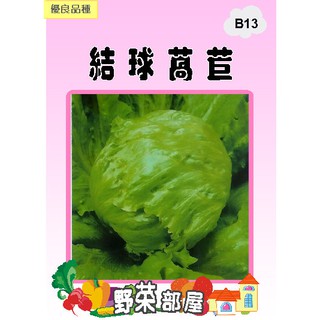 羅美生菜 推薦商品與價格優惠 2021年12月 飛比價格