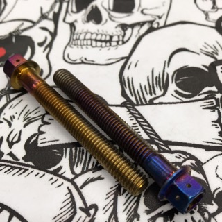🌟POSH 白鐵鍍鈦內外六角螺絲 鍍鈦 螺絲 8x65