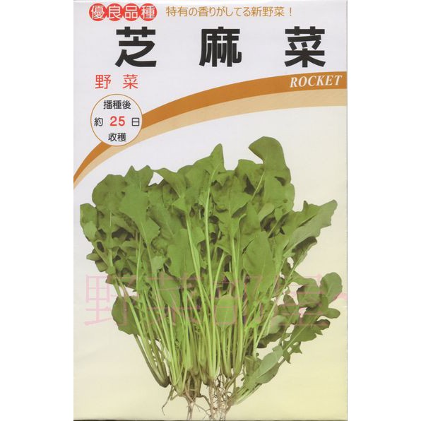 【萌田種子~蔬菜種子】E21 箭生菜種子0.8公克 , 芝麻菜 , 健康蔬菜 , 每包16元~