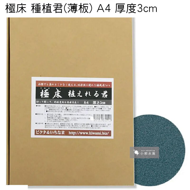 小郭水族 日本 極床種植君生態造景植栽板a4 3cm 1入 侘草水上葉培植生態缸兩棲造景缸日式造景