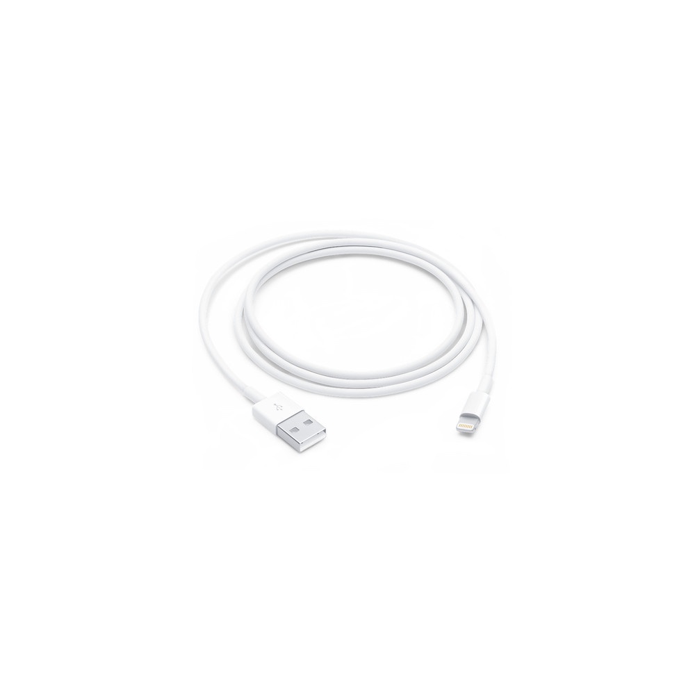 Apple Lightning 對 USB 連接線 (1 公尺)