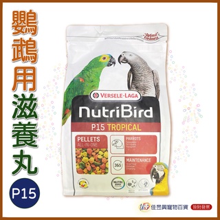 │P15鸚鵡用濃縮滋養丸(水果/原味)│凡賽爾│寵物鳥、鸚鵡用│輔助食品│