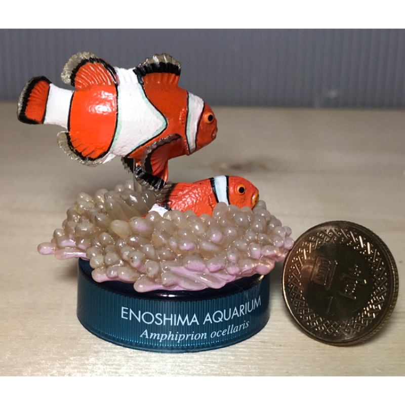 #236「櫻田門」海洋堂 小丑魚 模型 熱帶魚 扭蛋 轉蛋 盒玩 塑膠材質