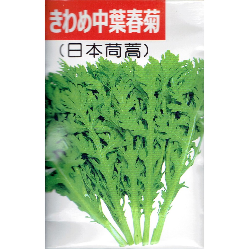 四季園日本進口中葉春菊日本茼蒿中包裝蔬菜種子每包公克新合成種子 蝦皮購物