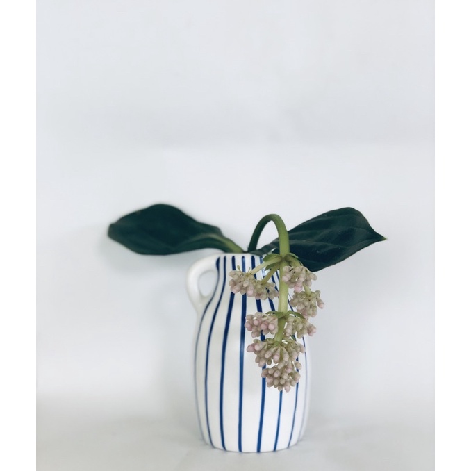 休日に荒れ地死の顎ikea 花瓶白ビリー専門知識登録する