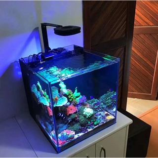 海水魚缸 優惠推薦 21年11月 蝦皮購物台灣