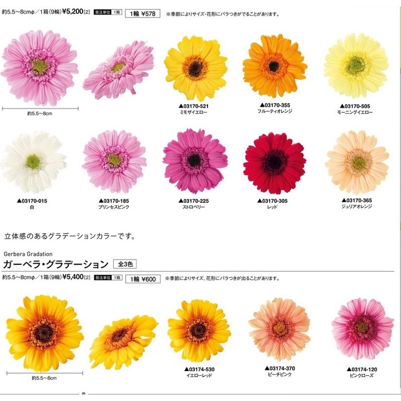 Florist 優惠推薦 22年5月 蝦皮購物台灣