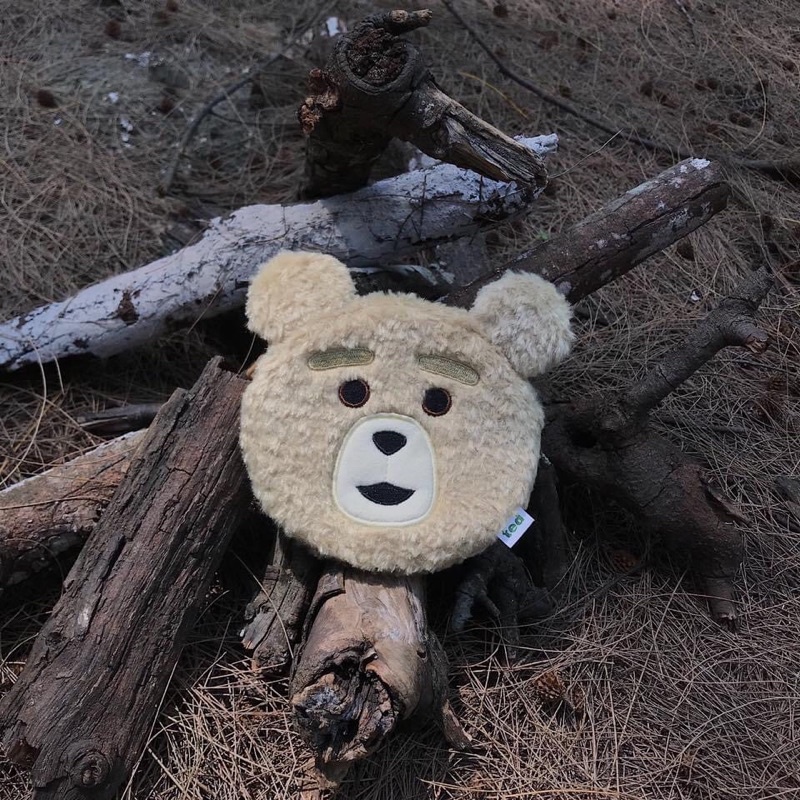🇺🇸 美國電影熊麻吉 TED 玩偶小包包 實用 零錢包 熊麻吉 雷雷夥伴 泰迪
