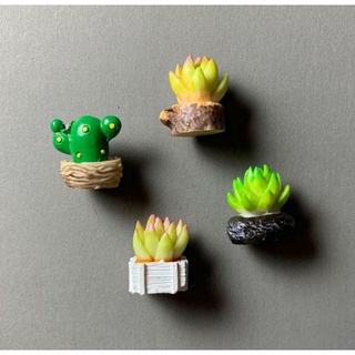 【 ☘仙人掌 擺件】仙人掌盆栽 多肉植物 微景觀 花盆 裝飾 盆栽 園藝 公仔 樹樁 鳥巢 擺飾 樹樁 拍攝道具
