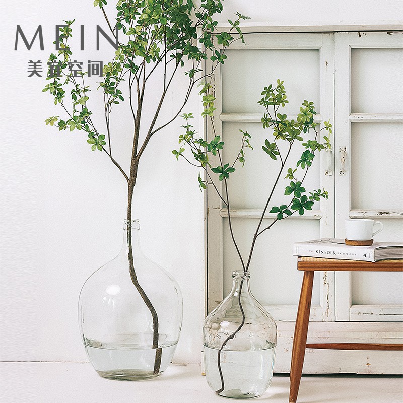 免運花瓶玻璃花瓶創意花瓶北歐大肚瓶透明玻璃花瓶馬醉木日本吊鐘仿真綠植樹枝客廳裝飾植物 蝦皮購物