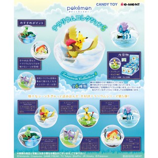 【盒蛋廠】Re-MeNT 精靈寶可夢寶貝球盆景品5 全六款 4521121204512【現貨日本盒玩、指定款全新有盒】