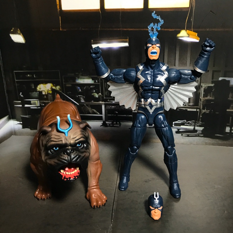 Marvel Legends 漫威 異人族 黑蝠王/黑霹靂/黑霹雷+鎖齒狗/Black Bolt + Lockjaw