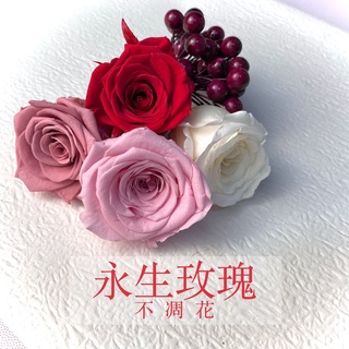 鮮花乾燥花花束材料 優惠推薦 22年8月 蝦皮購物台灣