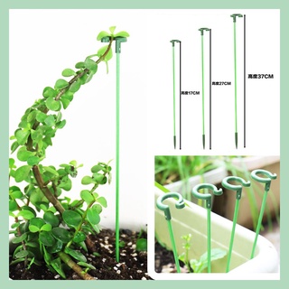 🌻多樂🌻園藝爬藤架 蝴蝶蘭多肉蕃茄蘭花花劍重瓣植物花架 支撐架 盆栽花盆爬藤支架 花卉造型固定架 防倒護葉支撐杆