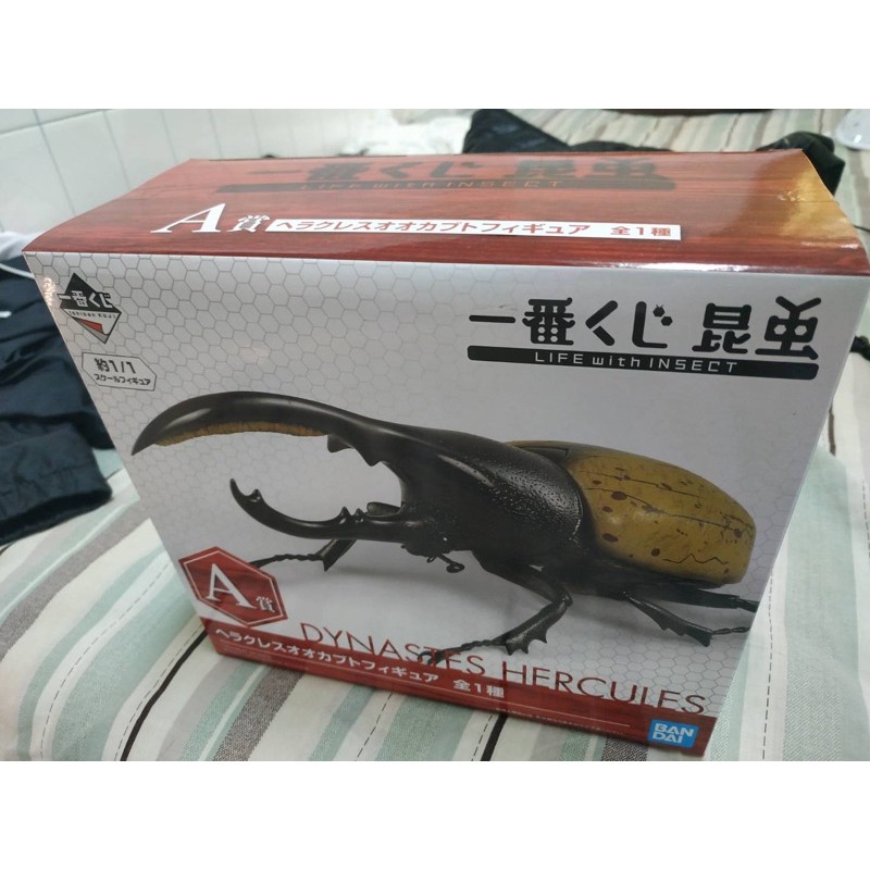 一番賞a賞甲蟲 現貨 蝦皮購物