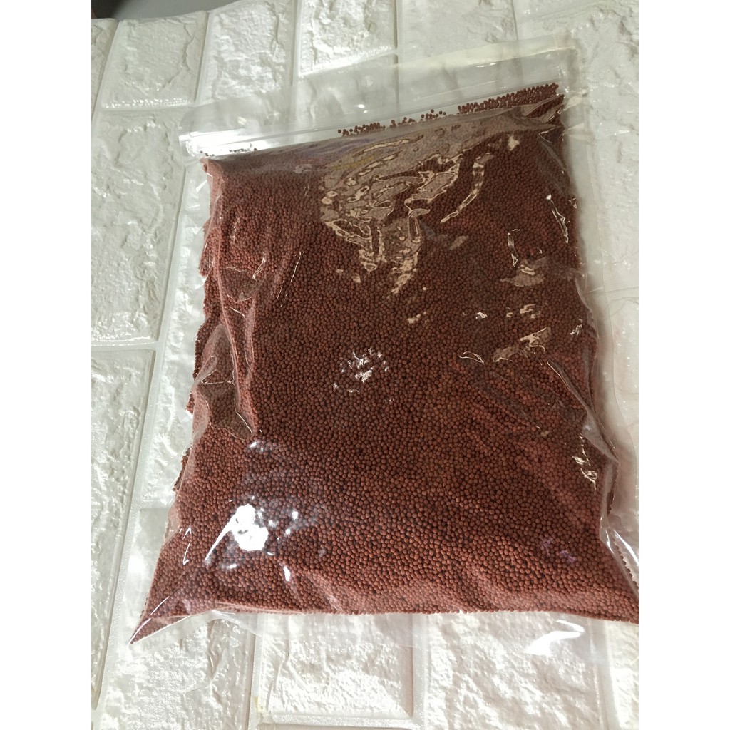 罹患 羅漢