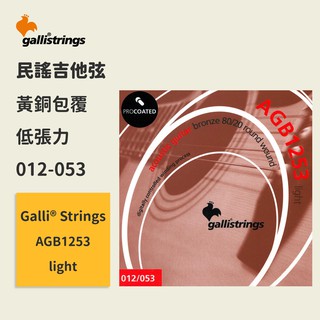 【GalliStrings】官方正版 民謠吉他弦 義大利弦 AGB1253 light 低張力 黃銅包覆弦 木吉他弦