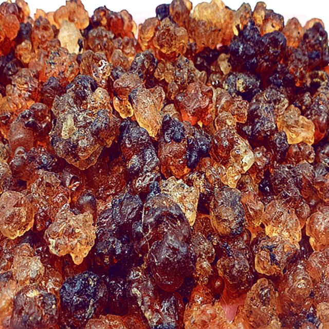 豐 糧行桃膠桃油桃樹脂300公克 蝦皮購物