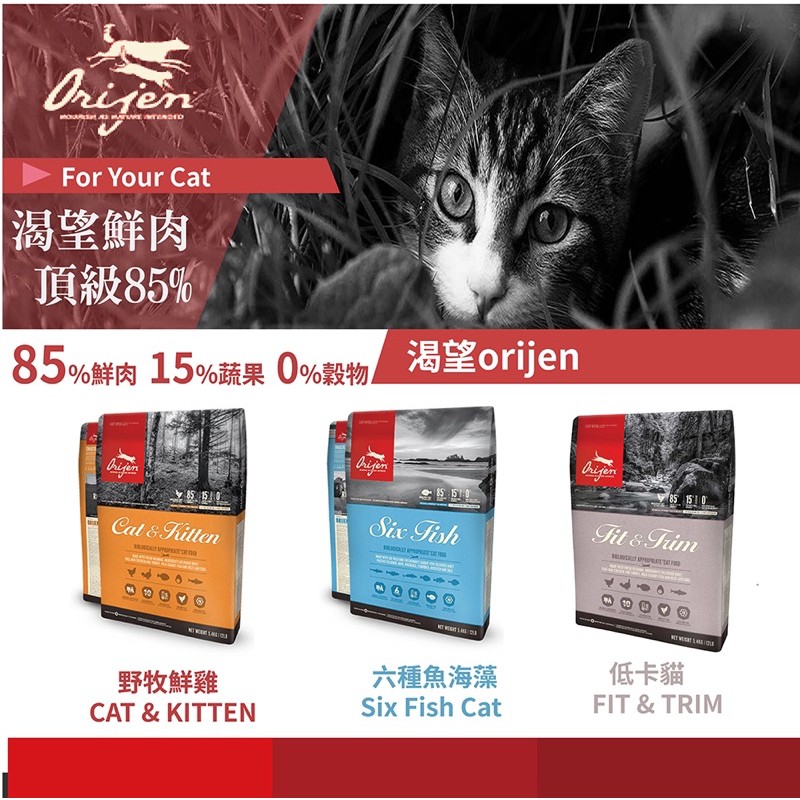 試吃包幼貓 Ptt Dcard討論與高評價網拍商品 2021年11月 飛比價格