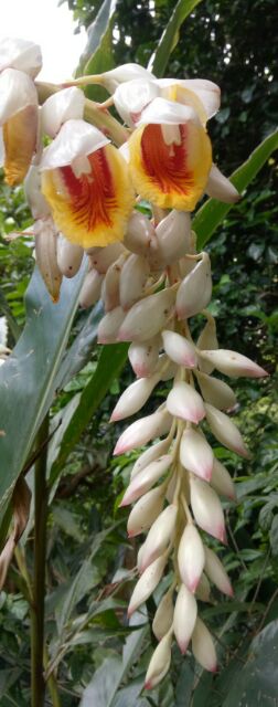 蝦皮購物 花得更少買得更好