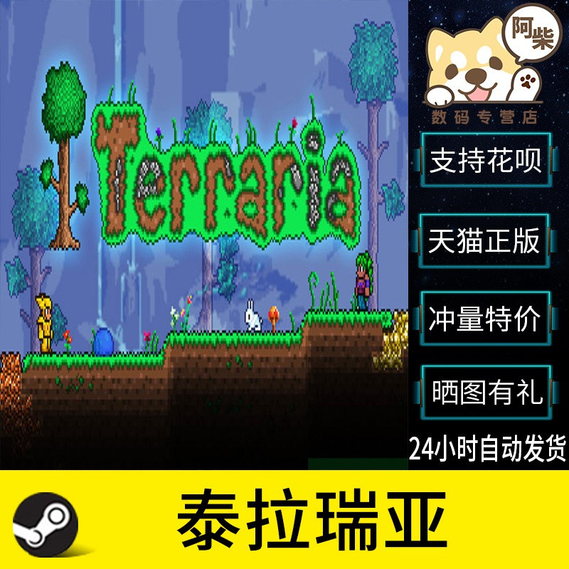 Steam Pc正版遊戲terraria泰拉瑞亞多人聯機 蝦皮購物