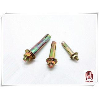 電鍍尖頭壁虎 1/2*3" ~ 5/8*5" [天掌五金]