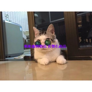 下標前請先詢問庫存現貨寵物小眼鏡狗狗墨鏡金屬框圓形寵物墨鏡拍照專用潮流眼鏡太陽眼鏡熊熊寵物精品