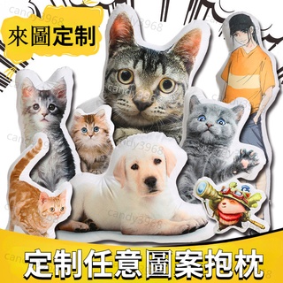 客製化抱枕 卡通寵物 異形枕 造型 模擬抱枕 立體寵物抱枕 抱枕 訂做抱枕 來圖客製
