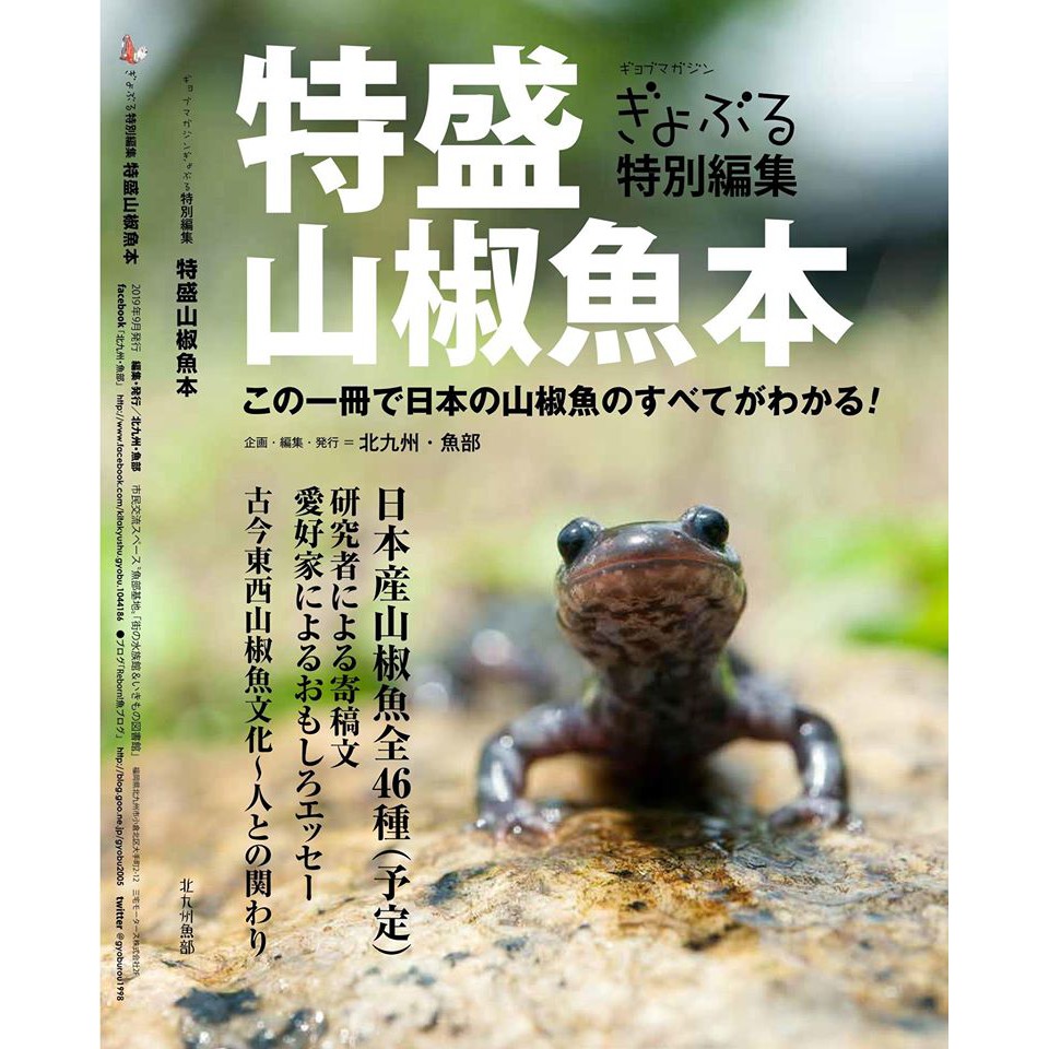 特盛山椒魚本 日文 蝦皮購物