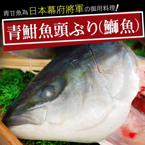 【築地一番鮮】日本極鮮青魽魚頭(350g~400g/半顆)-任選