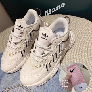Adidas 白韓國限定的價格推薦 21年10月 比價撿便宜