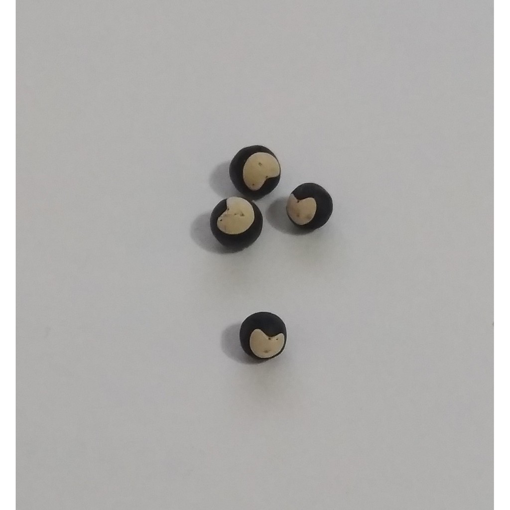 小盆友 倒地鈴種子 風船葛 風鈴草 愛心豆 50顆10元 表白禮物 情人節禮物 蝦皮購物