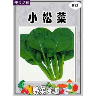 【萌田種子~中包裝】E13 日本四季小松菜種子40公克,日本油菜 , 每包190元~