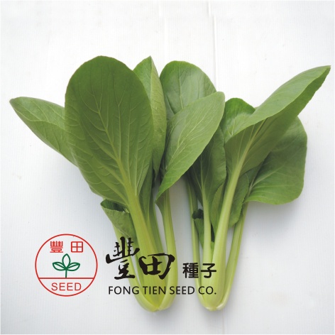 【野菜部屋~】F37 頂好特高青江菜種子2.3公克 , 株高可達30公分, 全年可種植 , 每包16元~