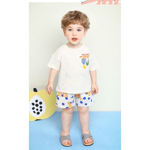 韓國Molli melli✨90-130號 小老虎上衣+點點褲短袖套裝 男童 短袖套裝 韓國童裝 夏天