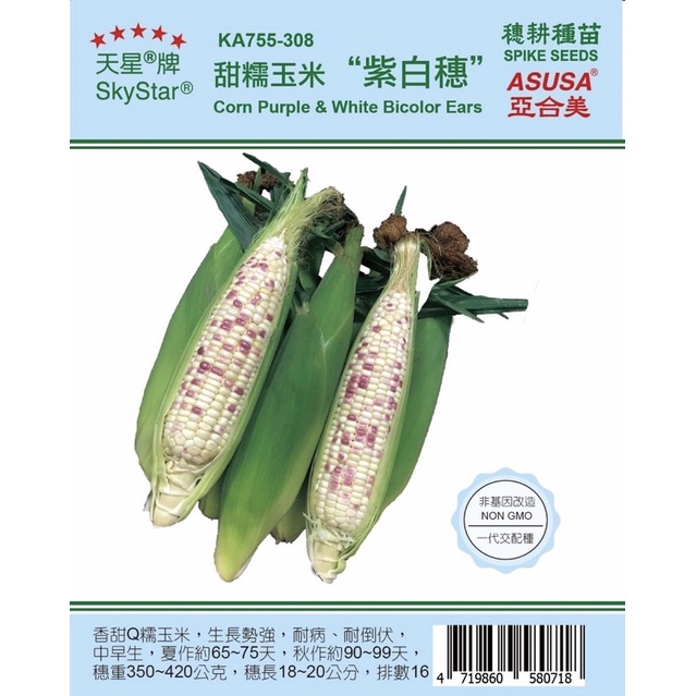 種子王國 甜糯玉米'紫白穗'【蔬果種子】 一代交配 分包裝 約20粒/包 夾鏈袋包裝 非基因改造 全年可播種