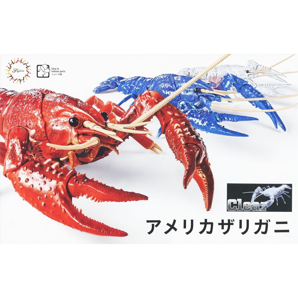 FUJIMI 美國螯蝦 透明色 富士美 自由研究 24EX3 生物編 組裝模型