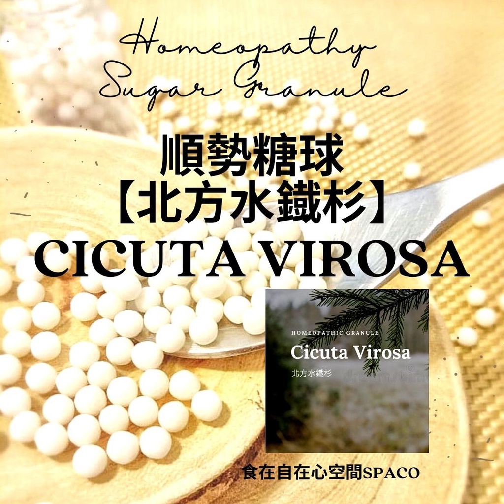 順勢糖球【北方水鐵杉●Cicuta Virosa】Homeopathic Granule 9克 食在自在心空間